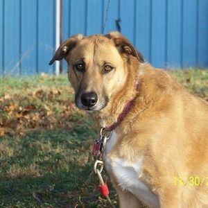 Meet your Posher, April